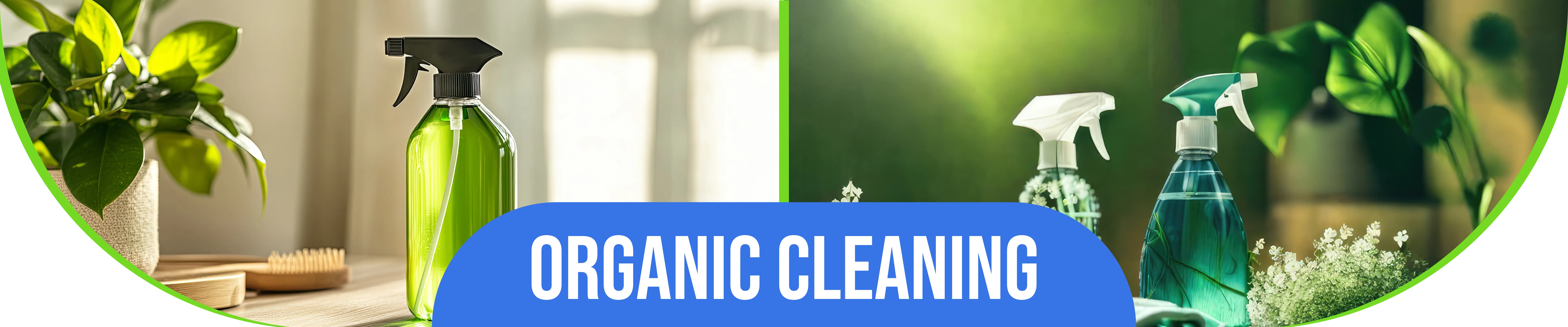 carpet cleaning in bronx, carpet cleaning bronx, carpet cleaners in bronx, carpet cleaners in bronx, commercial carpet cleaning, commercial carpet cleaning in bronx, bronx rug cleaners, rug cleaning services in bronx, same day carpet cleaning, same day rug cleaning in bronx