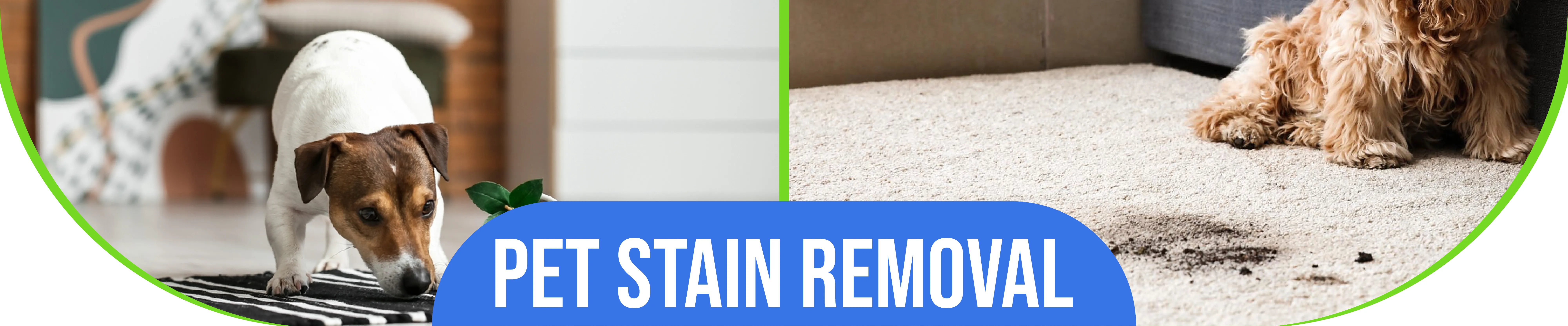 carpet cleaning in bronx, carpet cleaning bronx, carpet cleaners in bronx, carpet cleaners in bronx, commercial carpet cleaning, commercial carpet cleaning in bronx, bronx rug cleaners, rug cleaning services in bronx, same day carpet cleaning, same day rug cleaning in bronx