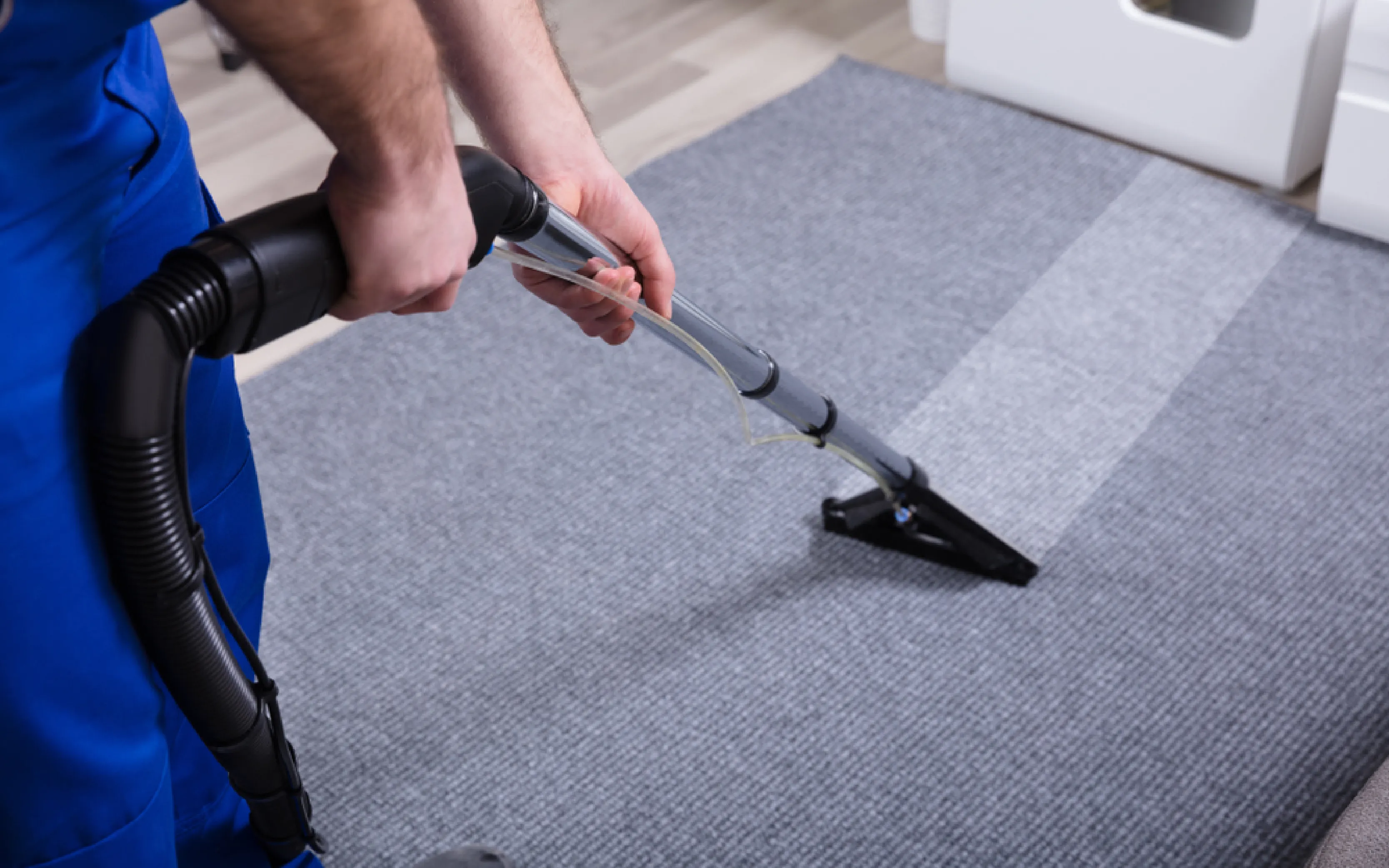 carpet cleaning in bronx, carpet cleaning bronx, carpet cleaners in bronx, carpet cleaners in bronx, commercial carpet cleaning, commercial carpet cleaning in bronx, bronx rug cleaners, rug cleaning services in bronx, same day carpet cleaning, same day rug cleaning in bronx