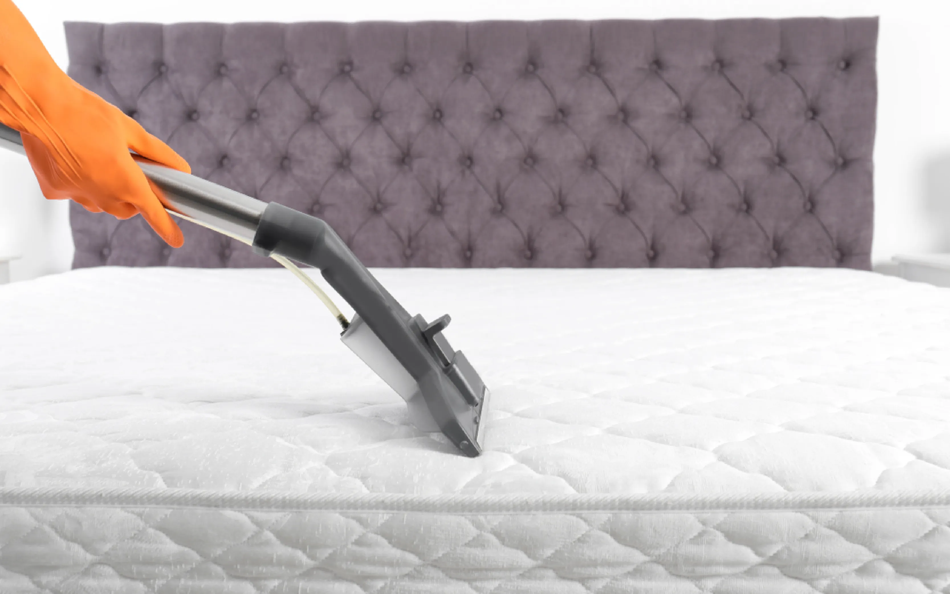 carpet cleaning in bronx, carpet cleaning bronx, carpet cleaners in bronx, carpet cleaners in bronx, commercial carpet cleaning, commercial carpet cleaning in bronx, bronx rug cleaners, rug cleaning services in bronx, same day carpet cleaning, same day rug cleaning in bronx