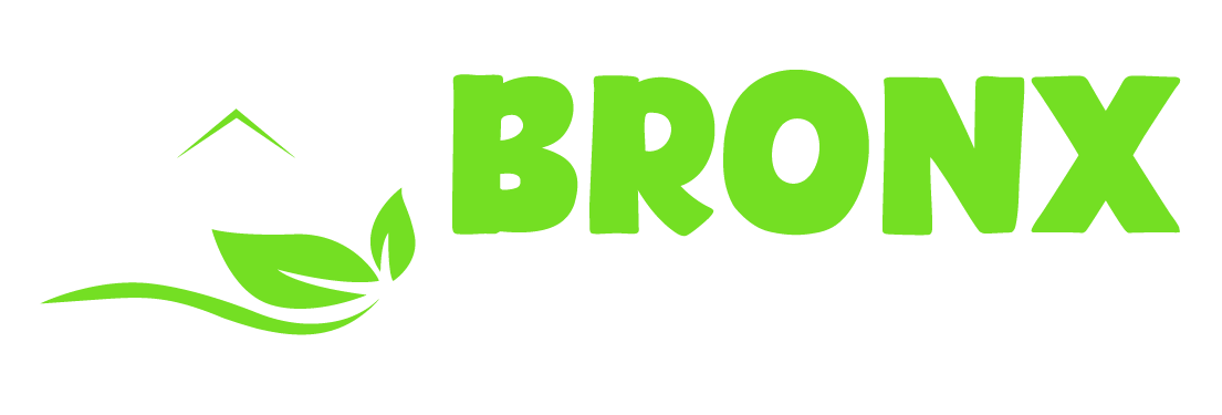 carpet cleaning in bronx, carpet cleaning bronx, carpet cleaners in bronx, carpet cleaners in bronx, commercial carpet cleaning, commercial carpet cleaning in bronx, bronx rug cleaners, rug cleaning services in bronx, same day carpet cleaning, same day rug cleaning in bronx